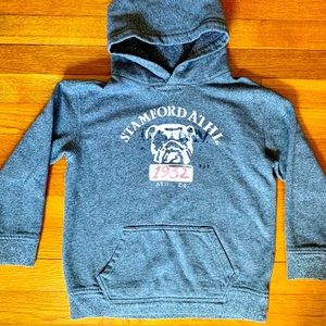 Cozy Ralph Lauren Polo Hoodie🐎